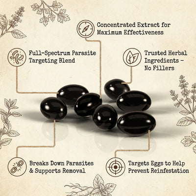 Parasite Cleanse